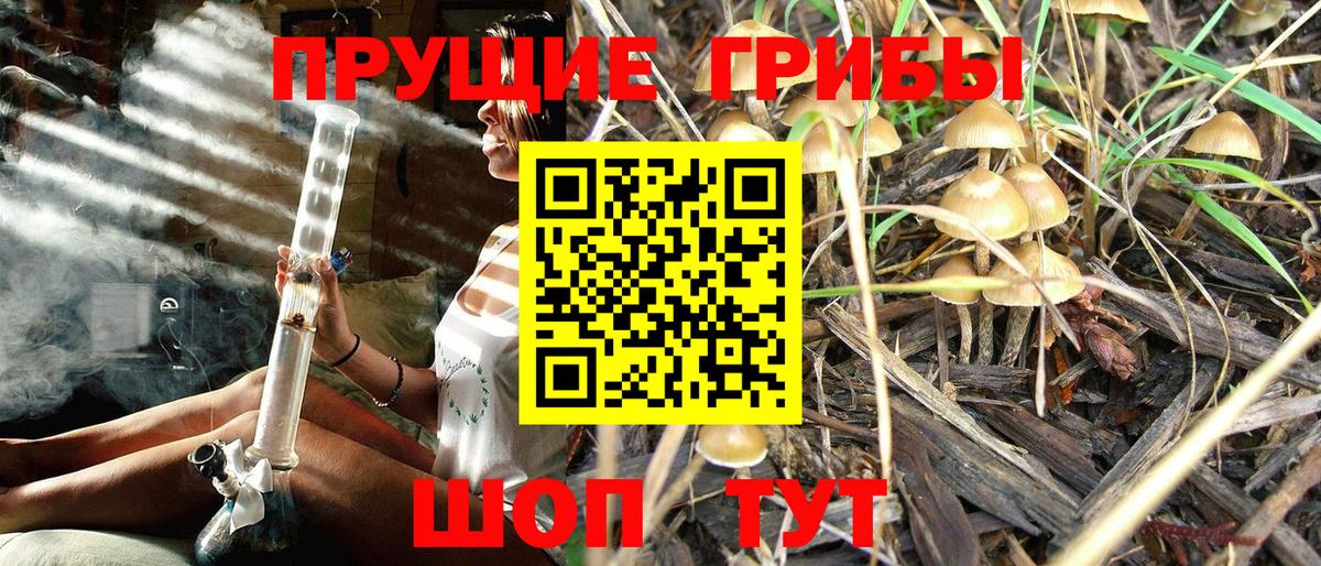 Галлюциногенные грибы Cubensis  Вход с VPN  Губкинский  Псилоцибиновые грибы Magic Shrooms 