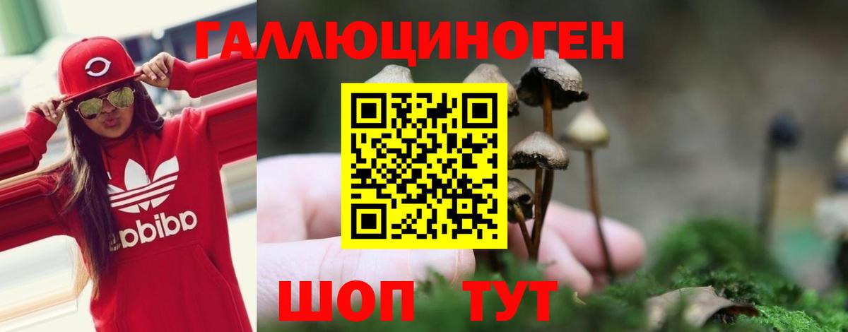 Галлюциногенные грибы ЛСД Губкинский
